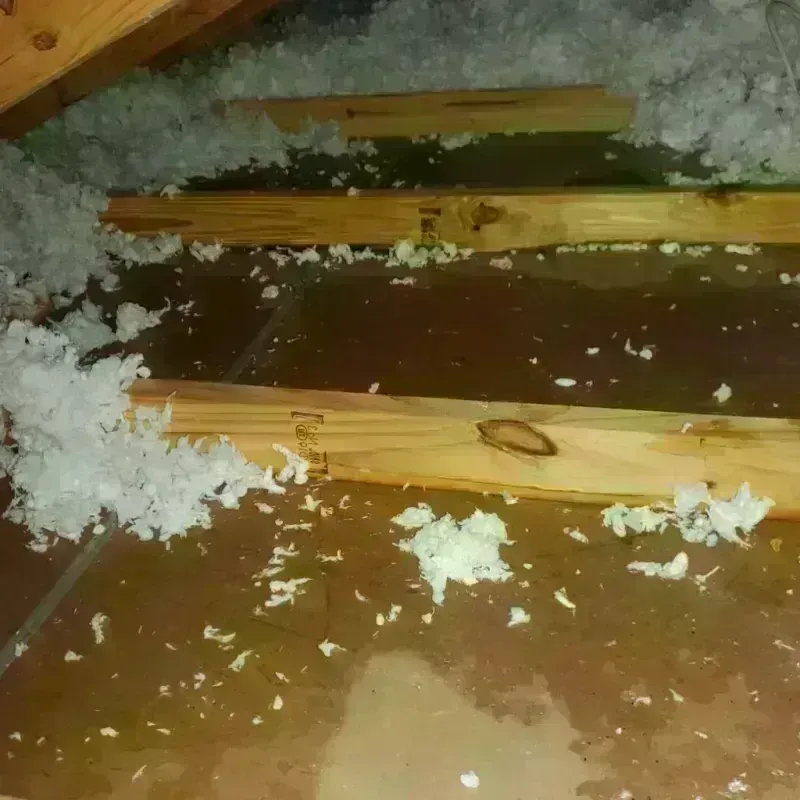 Attic Water Damage in Danbury, CT