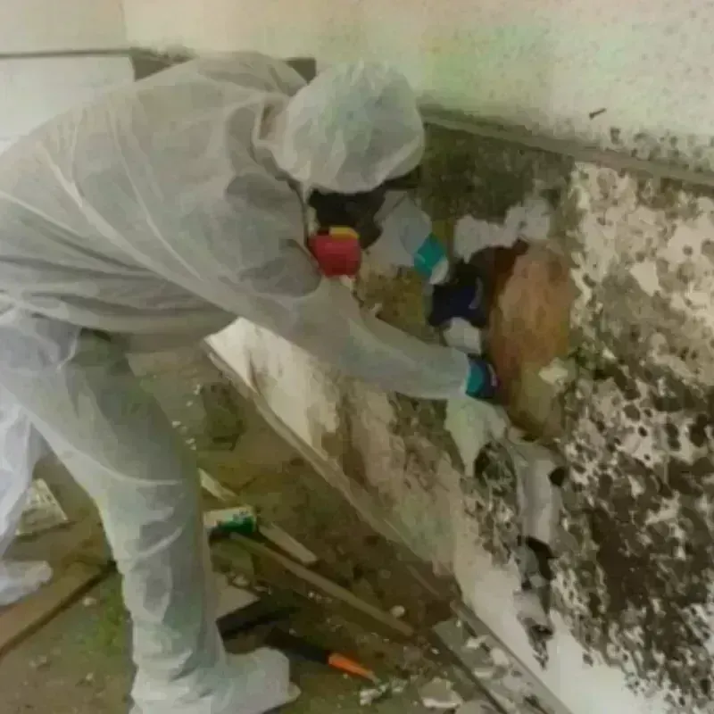 Mold Remediation and Removal in Danbury, CT